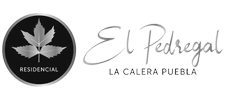 El-Pedregal
